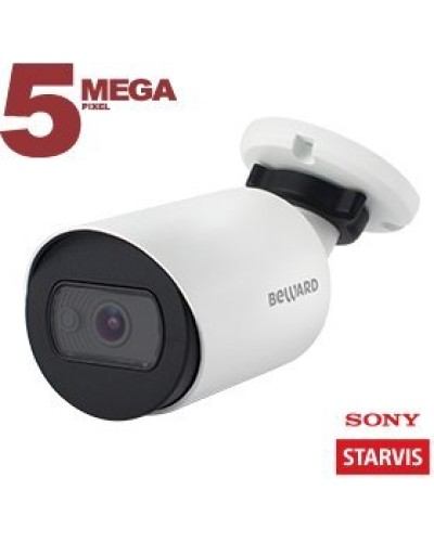 SV3210RC (6 мм). Видеокамера IP цилиндрическая. Beward в Воронеже