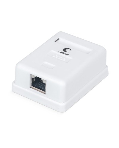 WS-8P8C-Cat.5e-SH-1 (7485c): Розетка RJ-45 в Воронеже