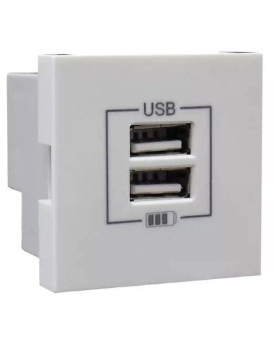 Розетка USB двойная, зарядная, белая (45439 SBR): Розетка USB двойная в Воронеже