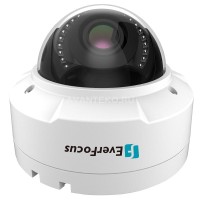 EHN-1250. Видеокамера IP купольная. EverFocus