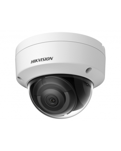 DS-2CD2123G2-IS(2.8мм)(D). Профессиональная видеокамера IP купольная. Hikvision в Воронеже