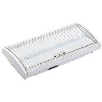 Светильник аварийный ДПА 5040-3 3ч IP54 LIGHTING (LDPA0-5040-3H-K01). Светильник аварийный постоянного действия. IEK