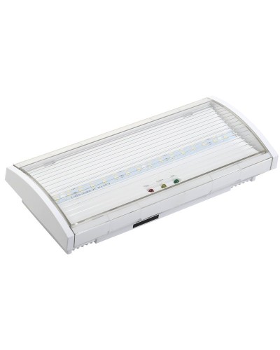Светильник аварийный ДПА 5040-1 1ч IP54 LIGHTING (LDPA0-5040-1H-K01). Светильник аварийный постоянного действия. IEK в Воронеже