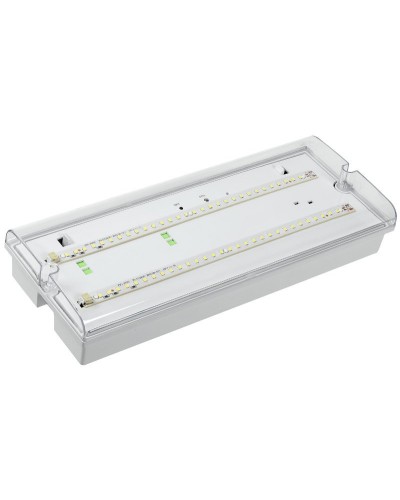 Светильник аварийный ДПА 5042-3 3ч IP65 LIGHTING (LDPA0-5042-3-65-K01). Светильник аварийный универсальный. IEK в Воронеже