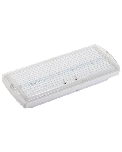 Светильник аварийный ДПА 5030-3 3ч IP20 LIGHTING (LDPA0-5030-3H-K01). Светильник аварийный постоянного действия. IEK в Воронеже