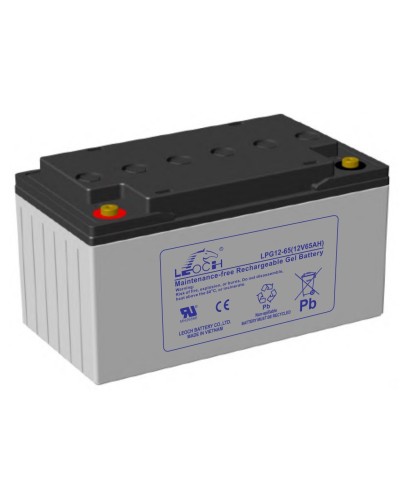 LEOCH LPG 12-65. Аккумулятор герметичный свинцово-кислотный. LEOCH в Воронеже