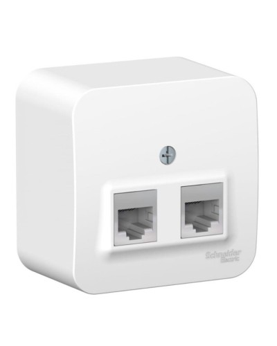 BLANCA розетка RJ11+RJ45, 2-местная, кат. 5Е, открытой установки, белый (BLNIA045111). Розетка компьютерная + телефонная с изолированной пластиной. Systeme Electric в Воронеже